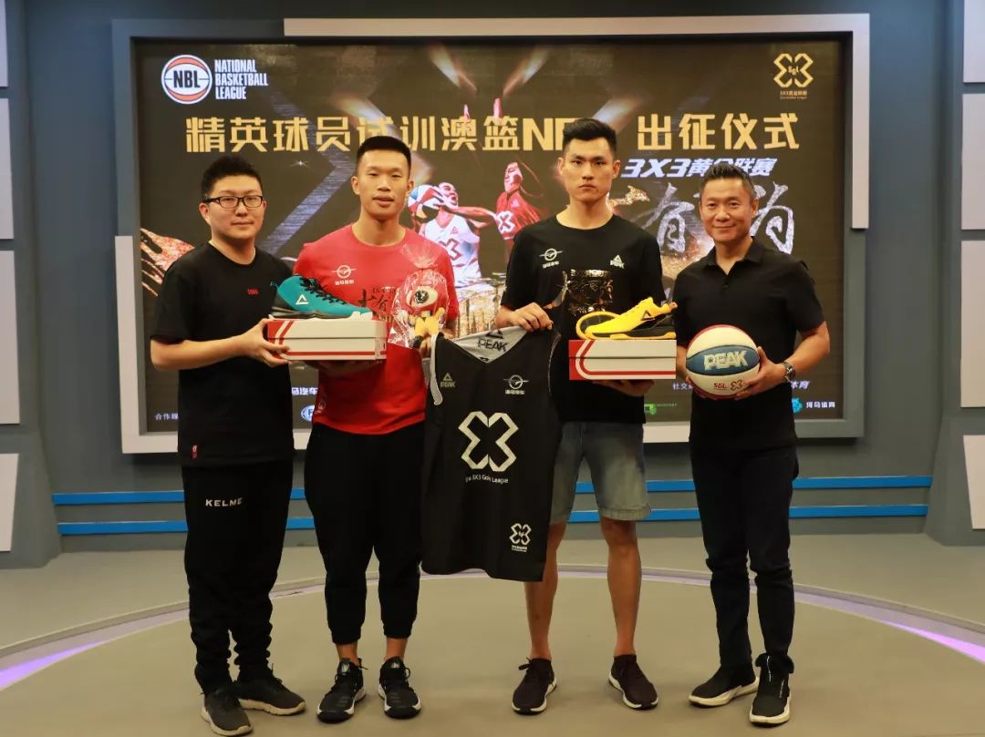 它们的共性 它们的共性